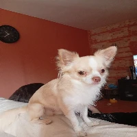 Photo de profil