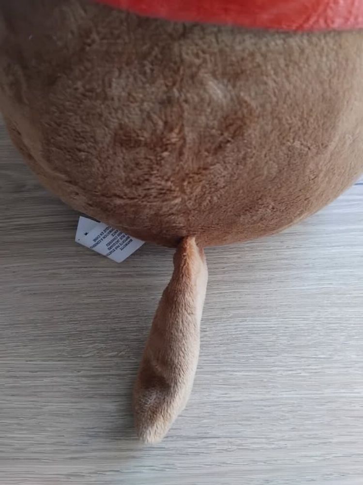 Image de l'annonce