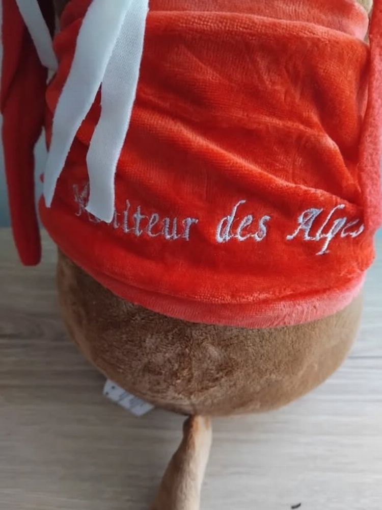 Image de l'annonce