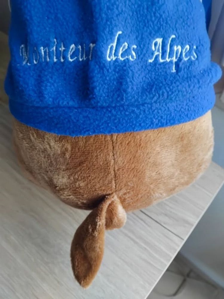 Image de l'annonce