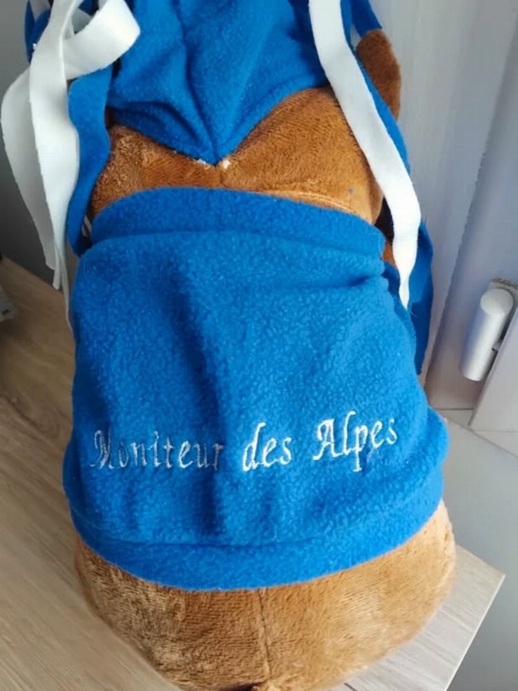 Image de l'annonce
