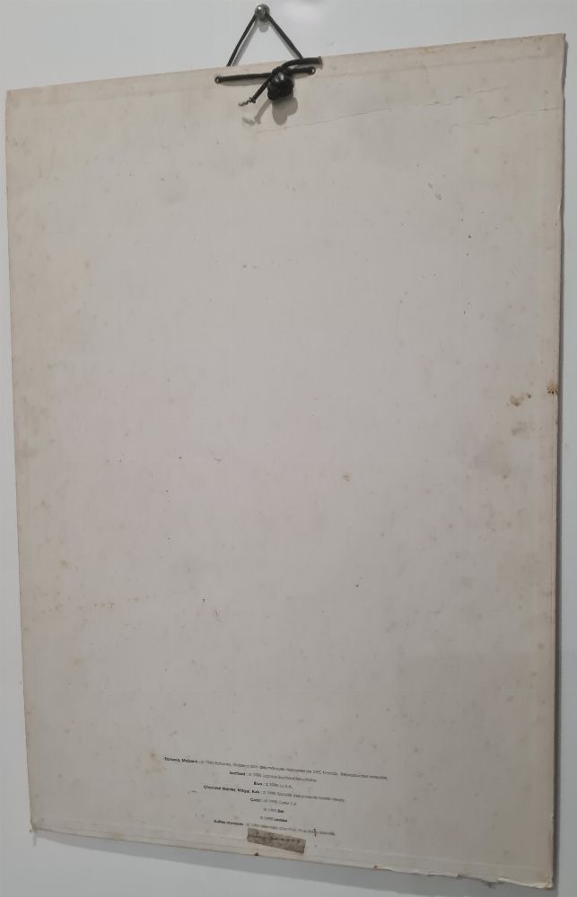 Image de l'annonce