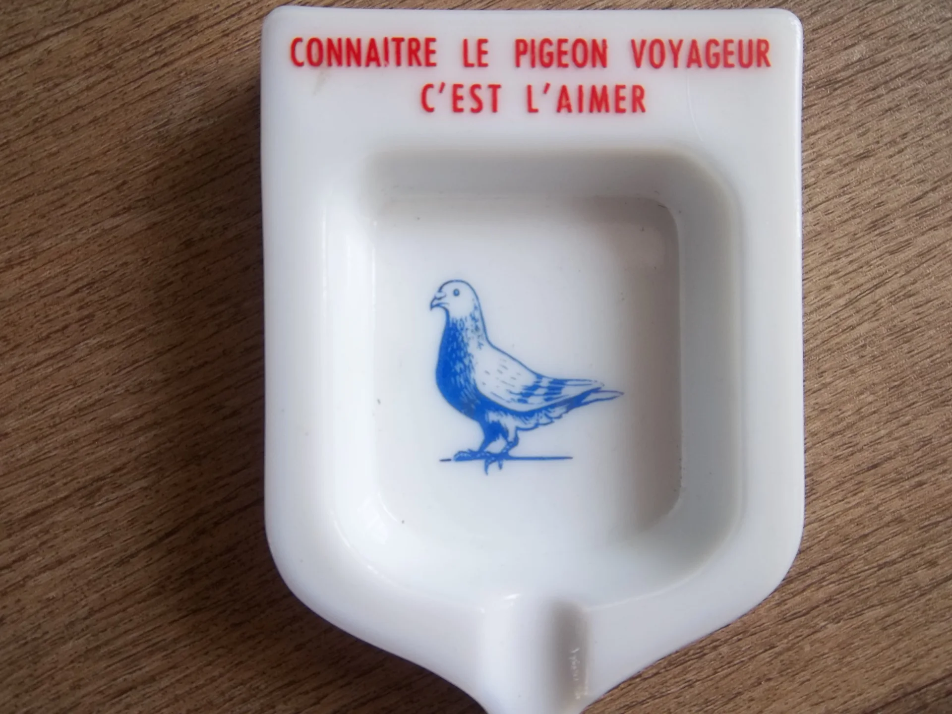 Image de l'annonce