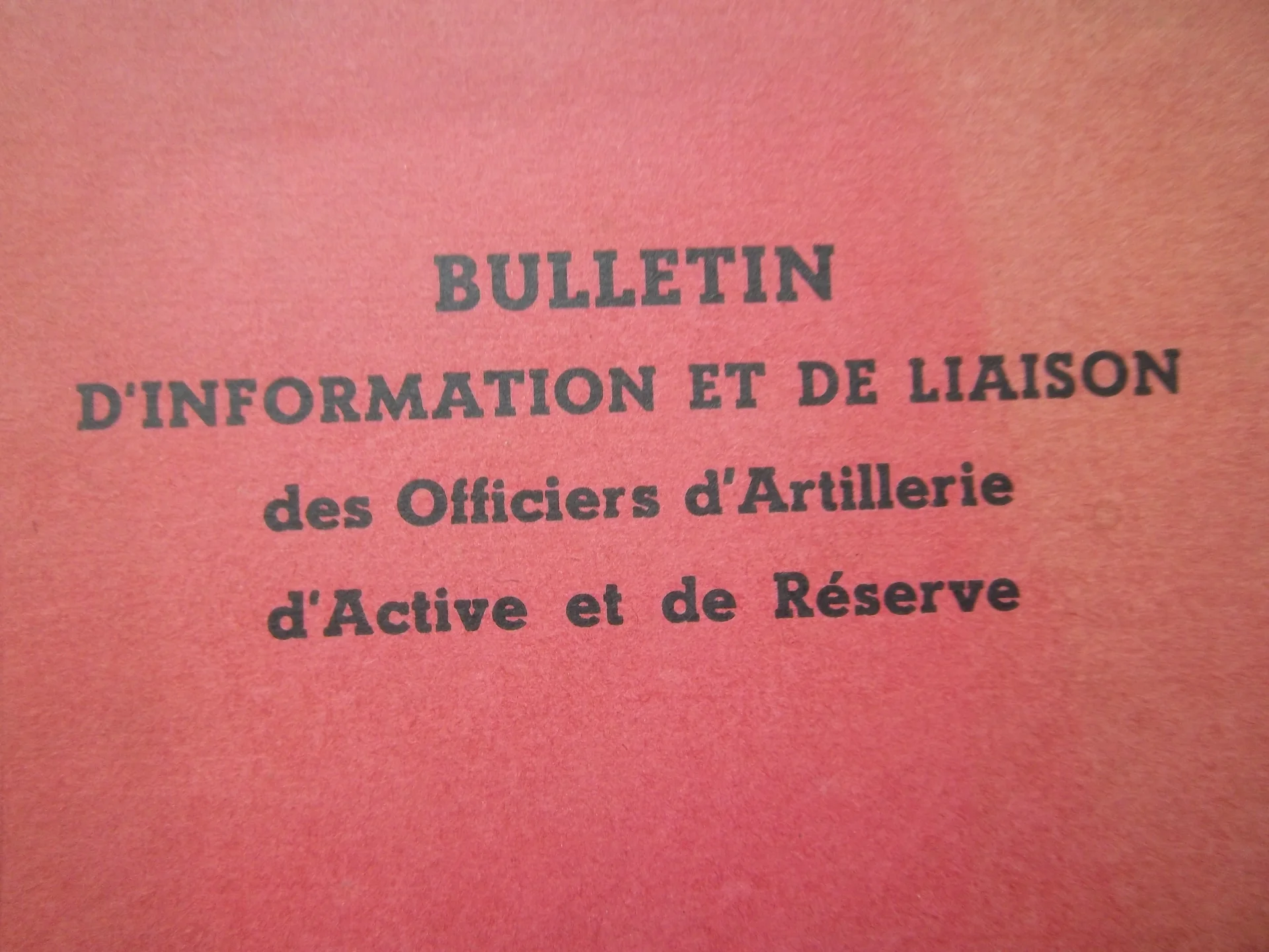 Image de l'annonce