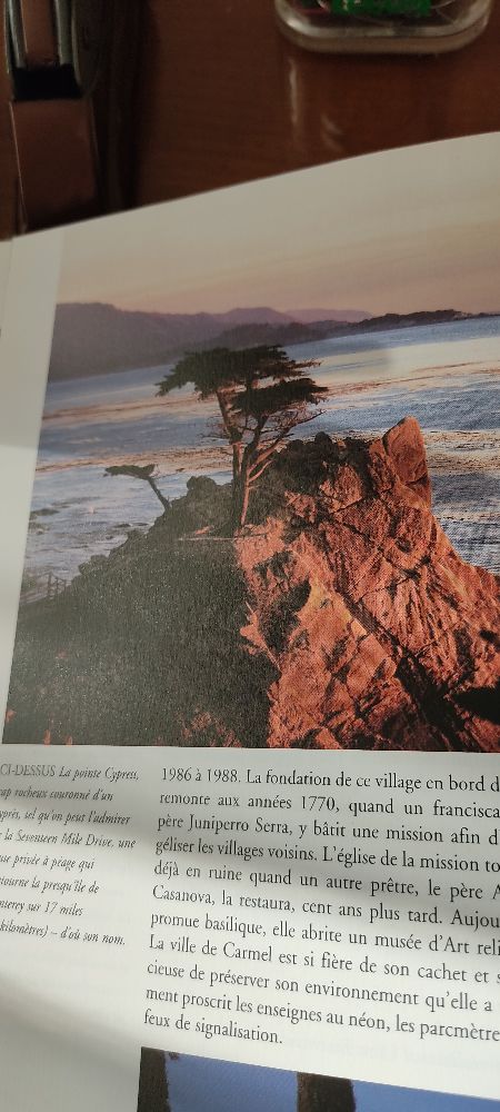 Image de l'annonce