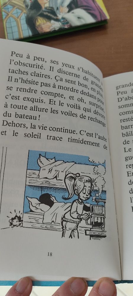 Image de l'annonce
