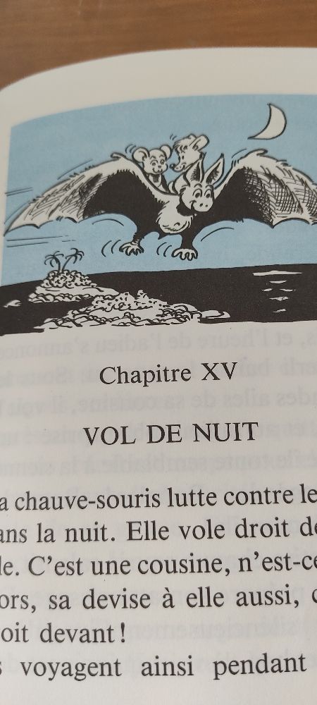 Image de l'annonce