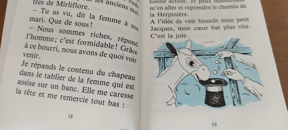 Image de l'annonce