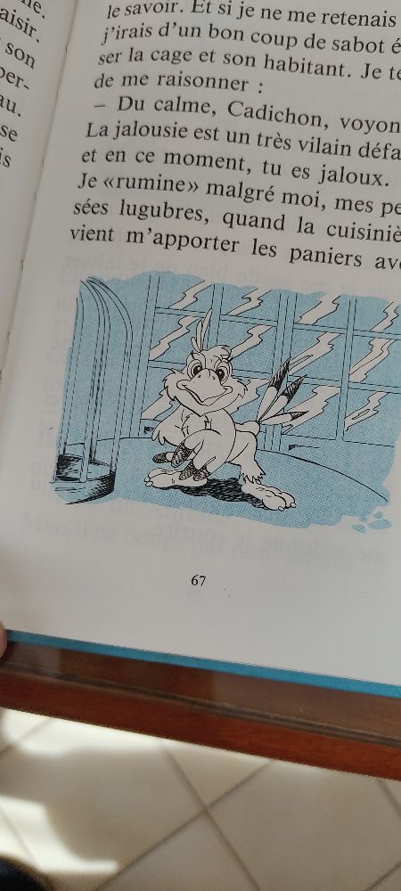Image de l'annonce