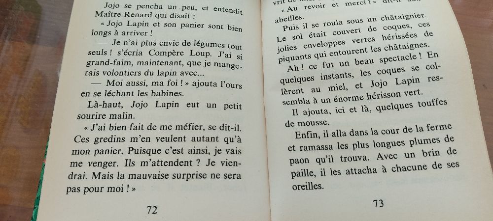 Image de l'annonce