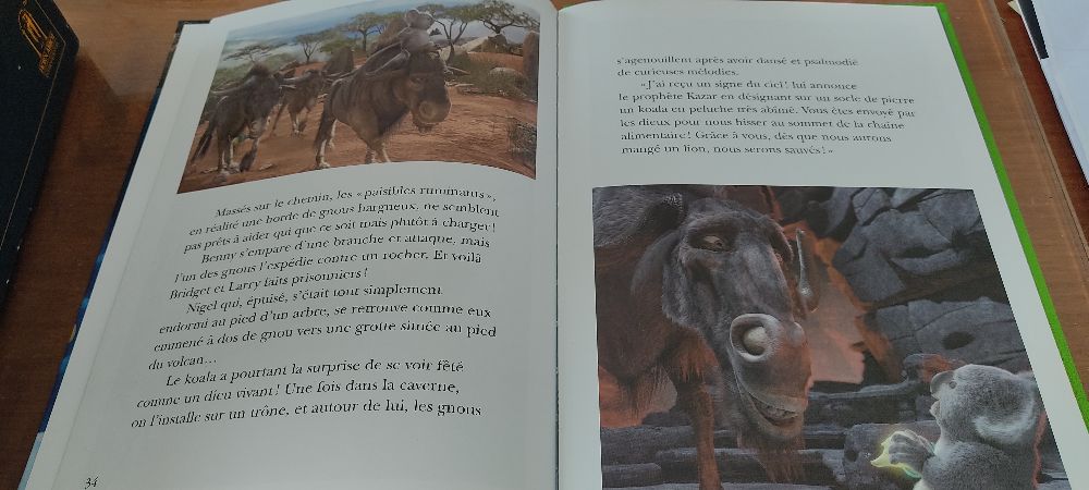 Image de l'annonce