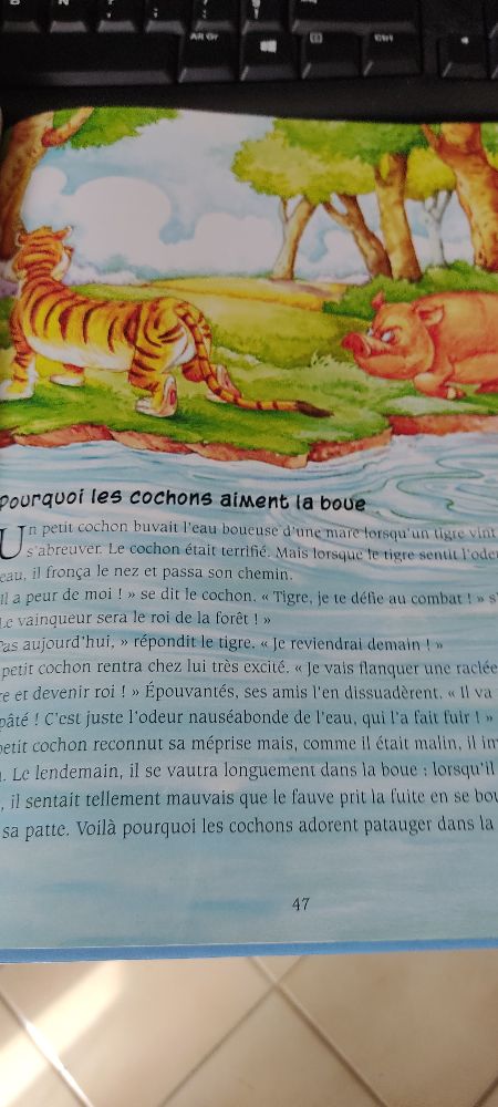 Image de l'annonce