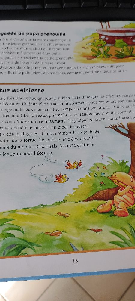 Image de l'annonce