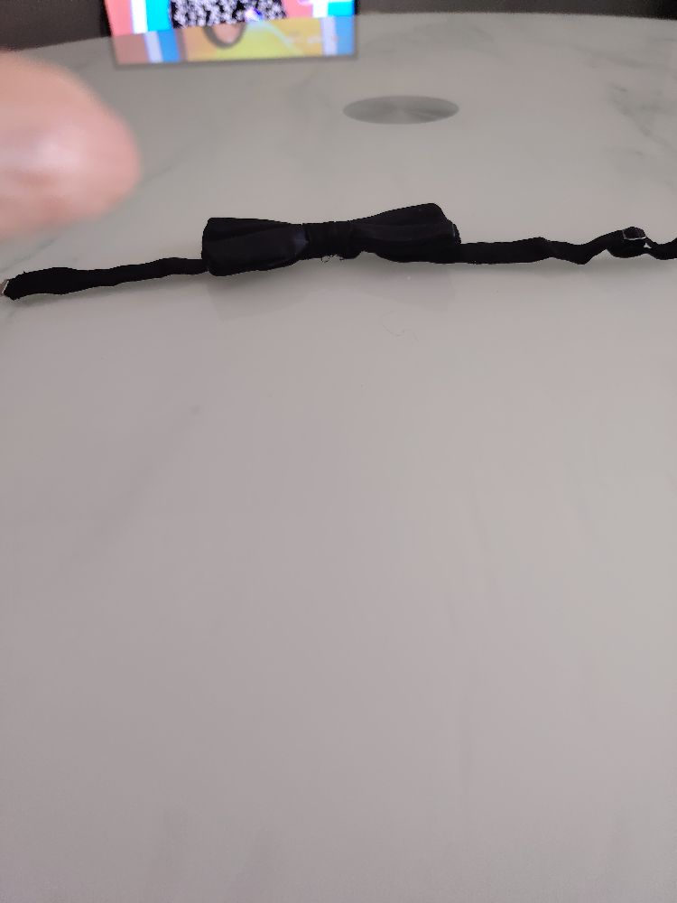 Image de l'annonce
