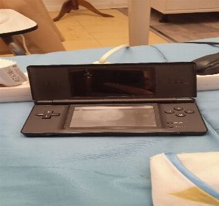 Nintendo ds 