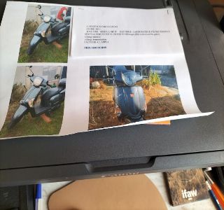 Image de l'annonce