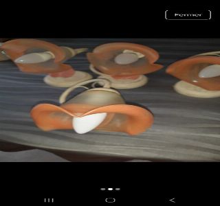 Image de l'annonce